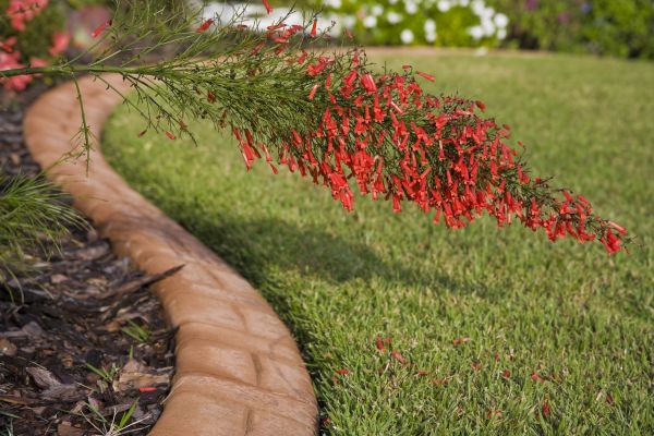 Brick Edging in Macomb