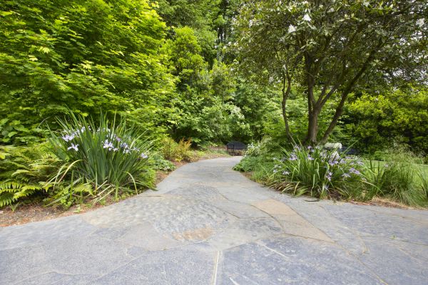 Stone Hardscape Service in Macomb